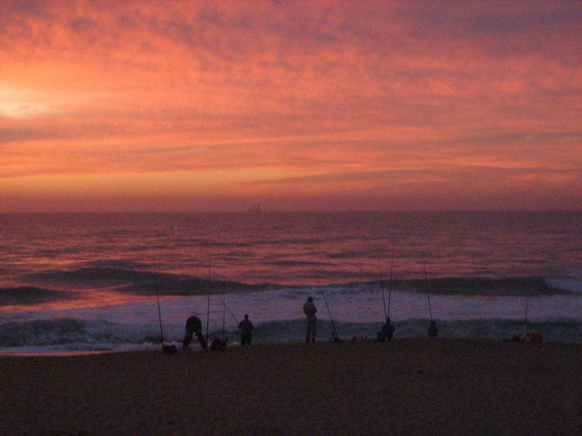 Durban Backpackers Bed & Breakfast Bagian luar foto